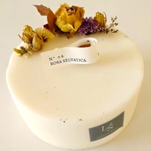 Rosa selvatica grande