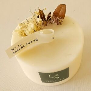 Albero del tè piccolo