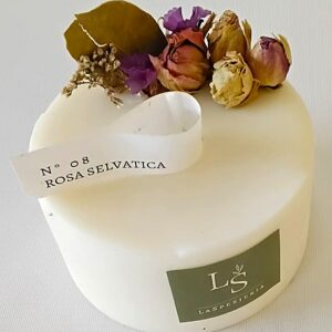 Rosa selvatica piccola