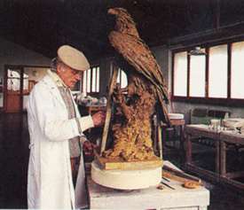 Uccelli e Animali porcellana dipinti a mano