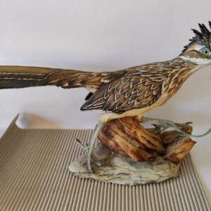 Road runner